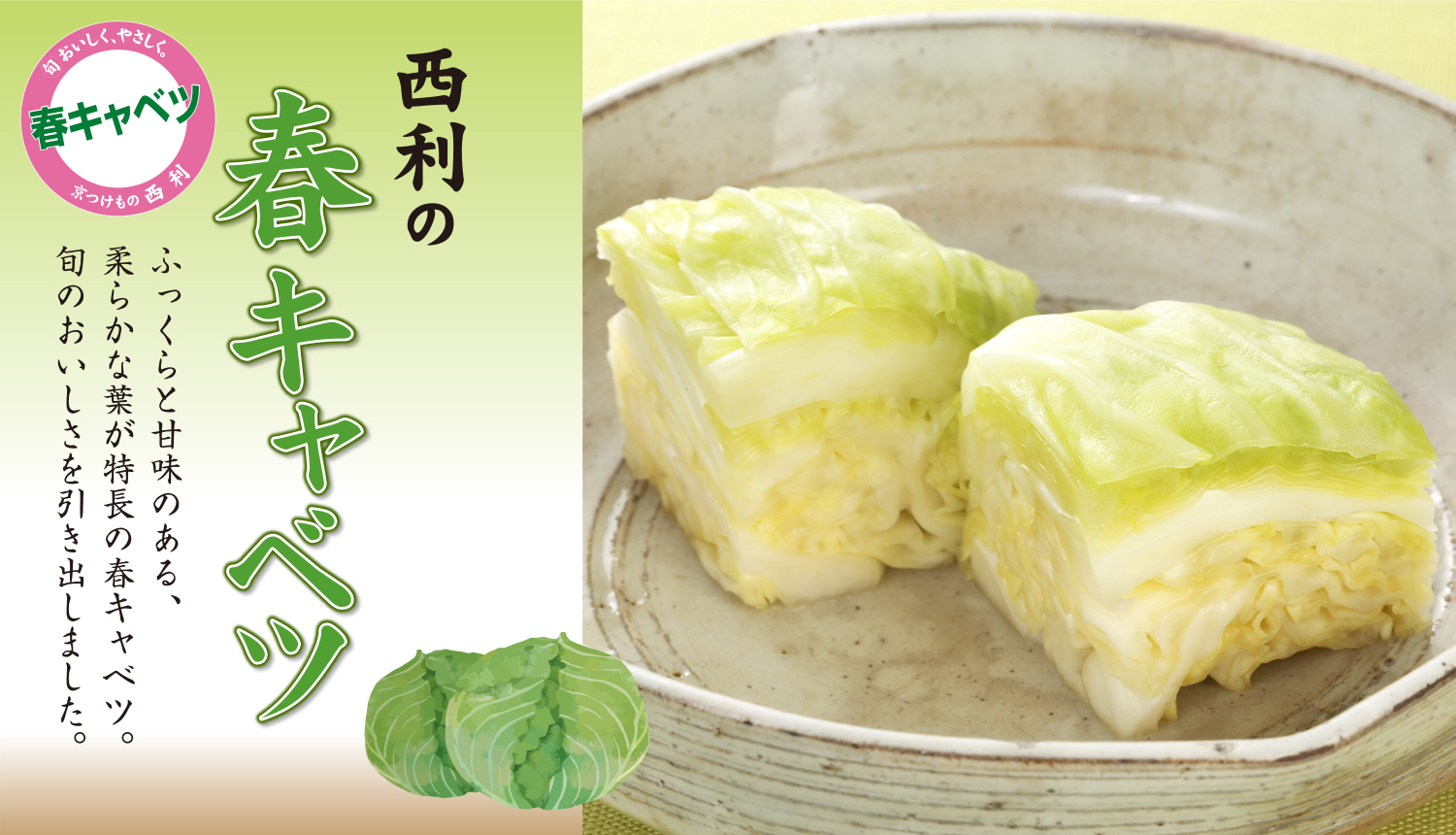 旬のおすすめ、春キャベツ