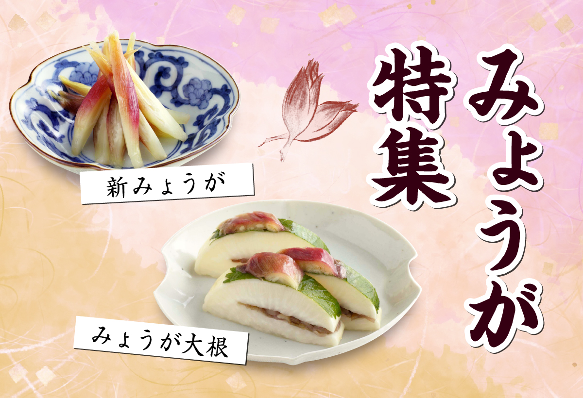 9月限定、爽やかな新みょうがとみょうが大根をご用意しております。